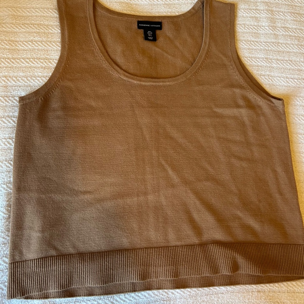 Adrienne Vittadini Tan Sweater Set
